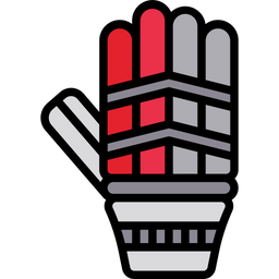 Cricket Gloves  Icon