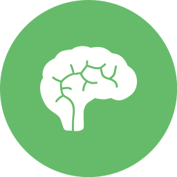 Brain  Icon