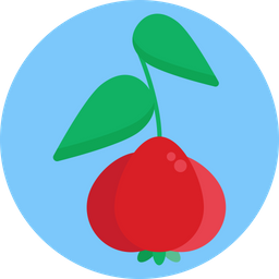 Cherry  Icon