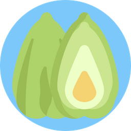 Chayote  Icon