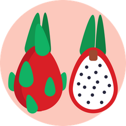 Dragon Fruit  Icon