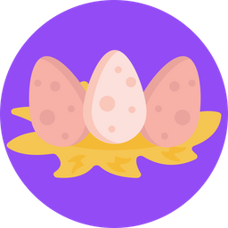 Eggs  Icon