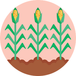 Corn  Icon