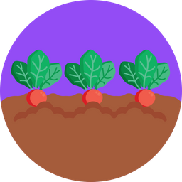 Beetroot  Icon