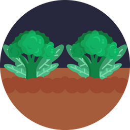 Broccoli  Icon