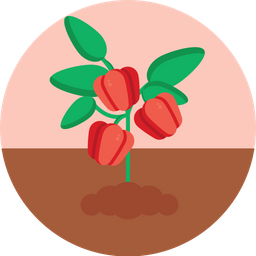 Bell Pepper  Icon