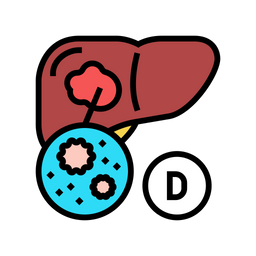 B Type Liver  Icon