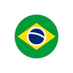 Brazil  Icon