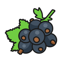 Black Currant  Icon