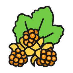 Cloudberry  Icon