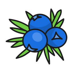 Juniper  Icon