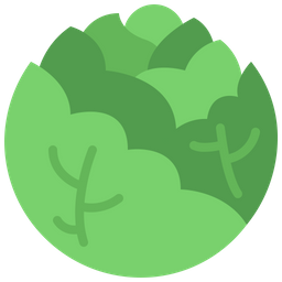 Cabbage  Icon