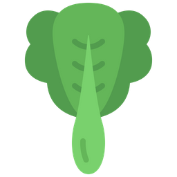 Bok Choy  Icon