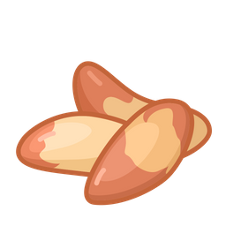 Brazil nut  Icon