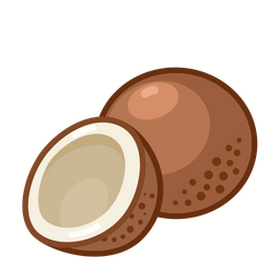 Coconut  Icon