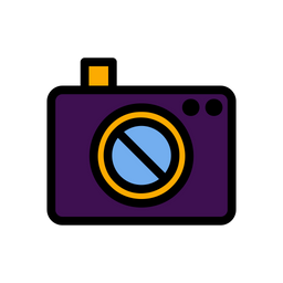 Camera  Icon