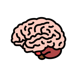 Human Brain  Icon