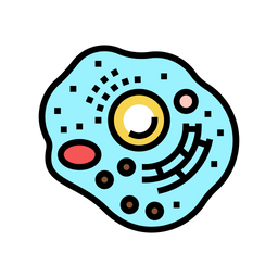 Human Cell  Icon