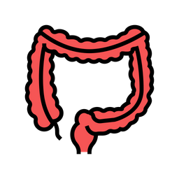 Colon  Icon