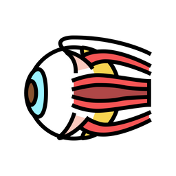 Eye  Icon