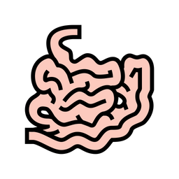 Intestine  Icon