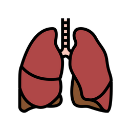 Lung  Icon