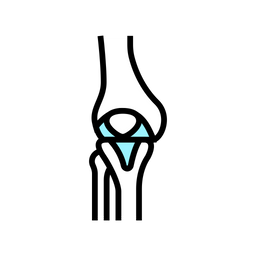 Joint Bone  Icon