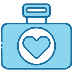 Camera  Icon