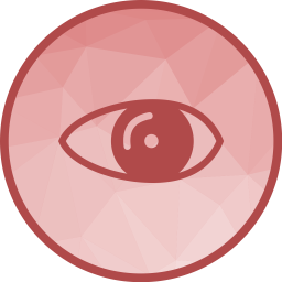 Eye  Icon