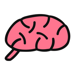 Brain  Icon