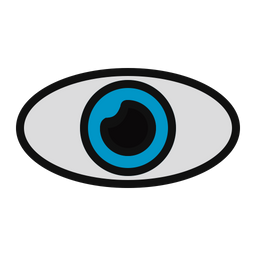 Eye  Icon