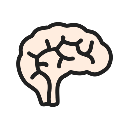 Brain  Icon