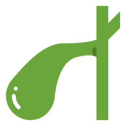 Gallbladder  Icon