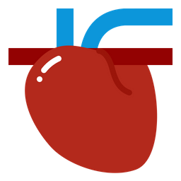 Heart  Icon