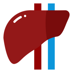 Liver  Icon