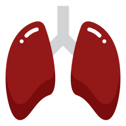 Lung  Icon