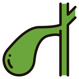 Gallbladder  Icon