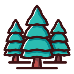 Christmas Tree  Icon