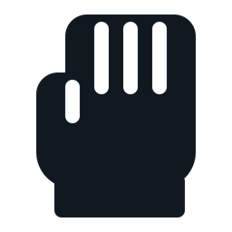 Hand Gloves  Icon