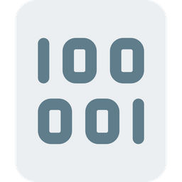 Binary File  Icon