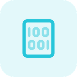 Binary File  Icon