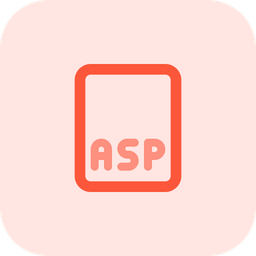 Asp File  Icon