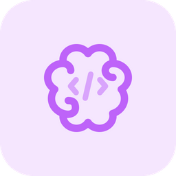 Brain Program  Icon