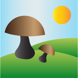 Landscape  Icon