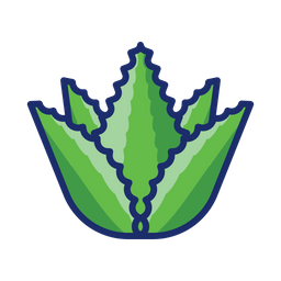 Aloe Vera  Icon