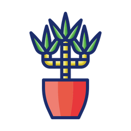 Dracaena  Symbol