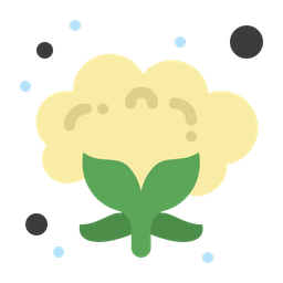 Blumenkohl  Symbol