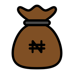 Naira money bag  Icon