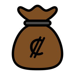 Colon money bag  Icon