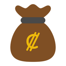 Colon money bag  Icon